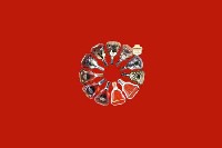 信都区回收红酒
